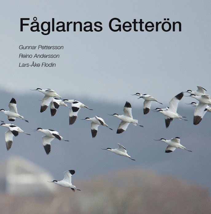 Fåglarnas Getterön