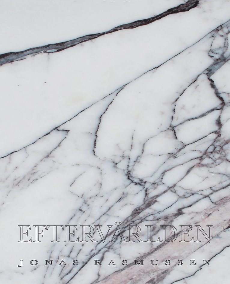 Eftervärlden : punktroman