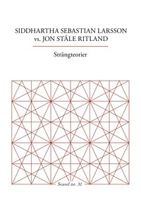 bokomslag Strängteorier