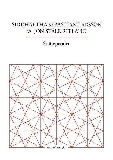 bokomslag Strängteorier