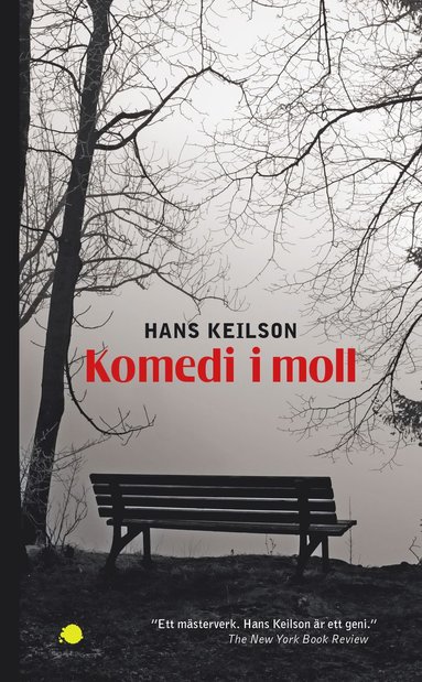 bokomslag Komedi i moll