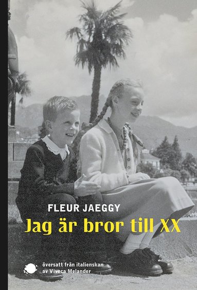 bokomslag Jag är bror till XX