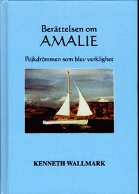 bokomslag Berättelsen om Amalie : pojkdrömmen som blev verklighet