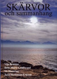 bokomslag Skärvor och sammanhang : fyra psykoterapeuters berättelser