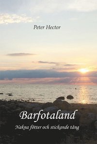 bokomslag Barfotaland