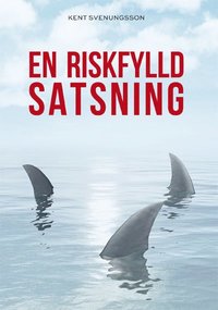 bokomslag En riskfylld satsning