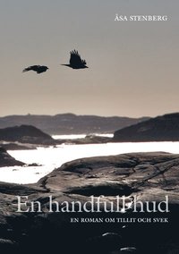 bokomslag En handfull hud - En roman om tillit och svek