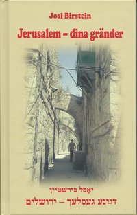 bokomslag Jerusalem - dina gränder