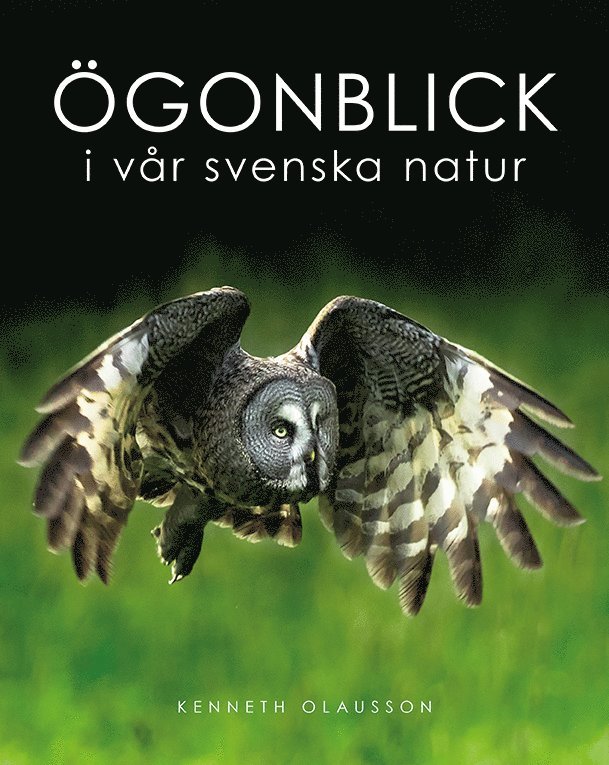 Kenneth Olausson - Ögonblick i vår svenska natur, Inbunden