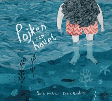 Sofia Hedman - Pojken och havet, Inbunden