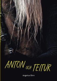 bokomslag Anton och Teitur