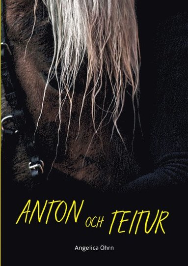 Angelica Öhrn - Anton och Teitur, Häftad