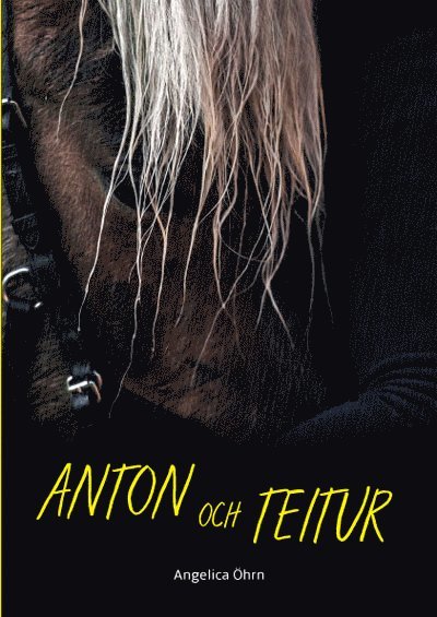 Anton och Teitur 1