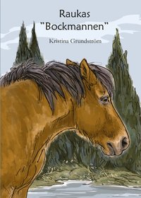 bokomslag Raukas - "Bockmannen"