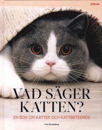 bokomslag Vad säger katten?