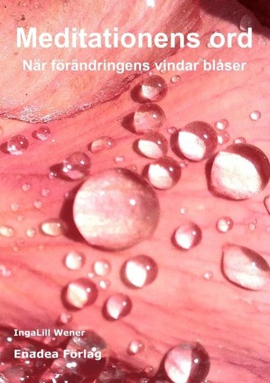 bokomslag Meditationens ord : när förändringens vindar blåser