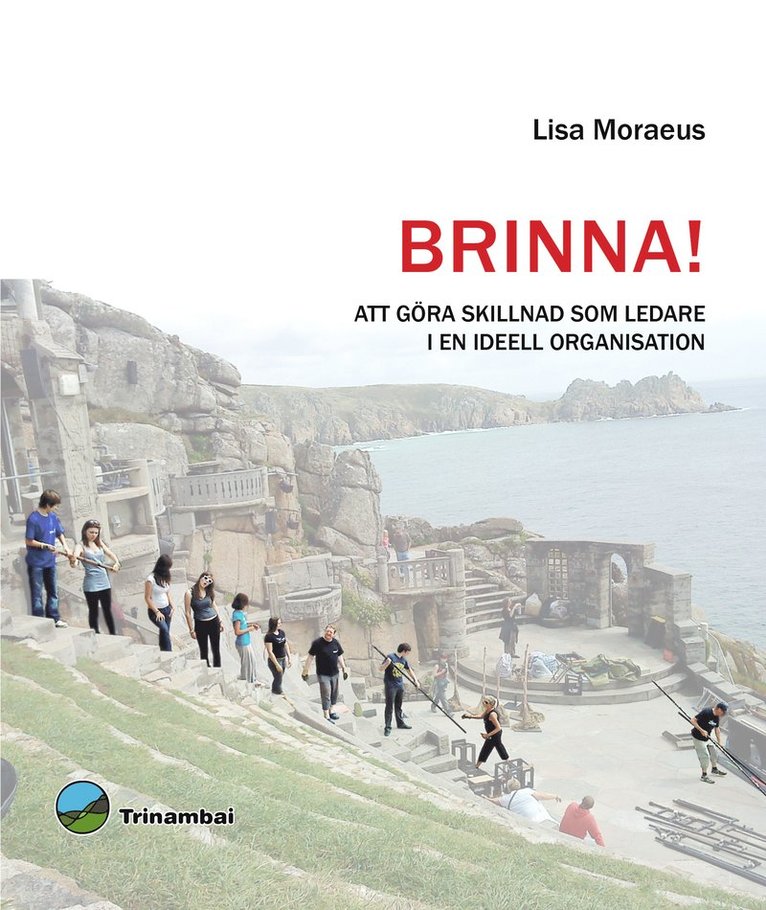 Brinna! : att göra skillnad som ledare i en ideell organisation 1