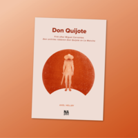 bokomslag Don Quijote