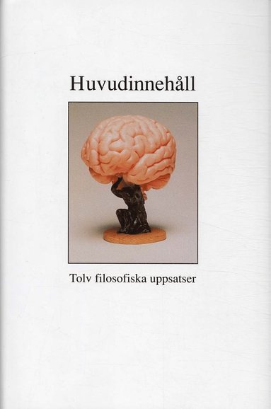 bokomslag Huvudinnehåll - tolv filosofiska uppsatser