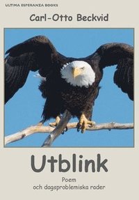 bokomslag Utblink : poem och dagsproblemiska rader