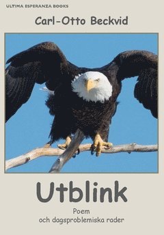 Utblink : poem och dagsproblemiska rader 1