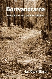 bokomslag Bortvandrarna : en berättelse om systrarna Olsdotter