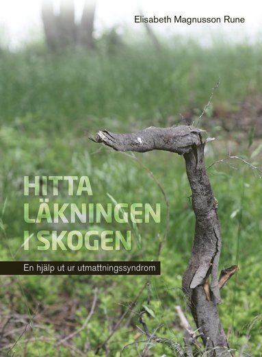 bokomslag Hitta läkningen i skogen : en hjälp ut ur utmattningssyndrom