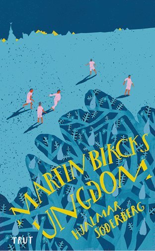 bokomslag Martin Bircks ungdom