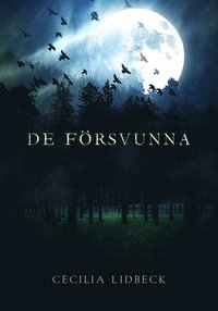 bokomslag De försvunna