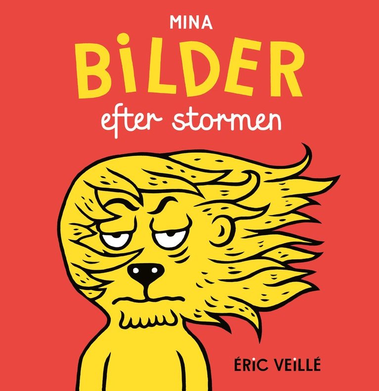 Éric Veillé - Mina bilder efter stormen, Inbunden