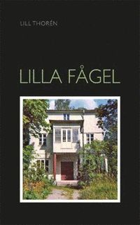 bokomslag Lilla Fågel