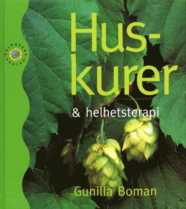 bokomslag Huskurer och helhetsterapi