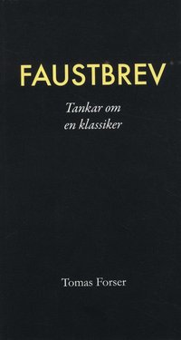 bokomslag Faustbrev : Tankar om en klassiker