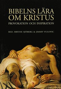bokomslag Bibelns lära om Kristus