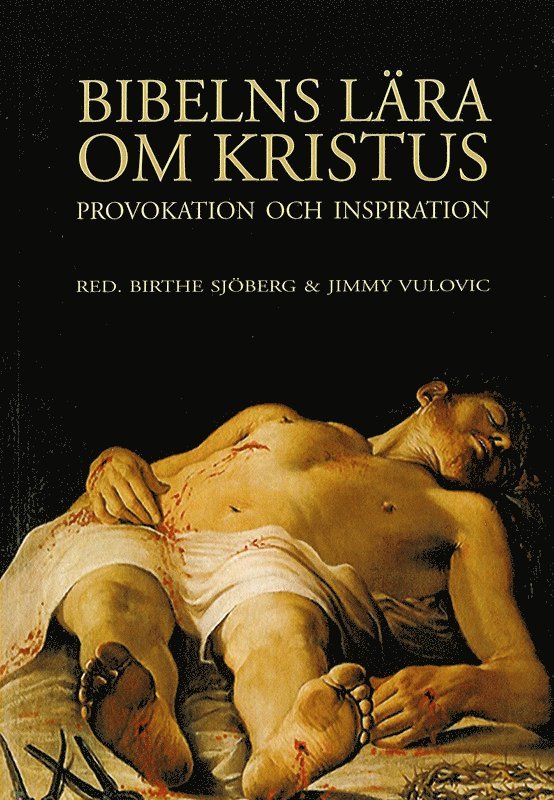 Bibelns lära om Kristus : provokation och inspiration 1