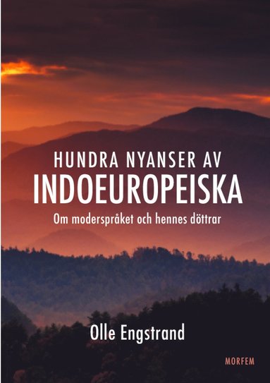 bokomslag Hundra nyanser av indoeuropeiska : om moderspråket och hennes döttrar