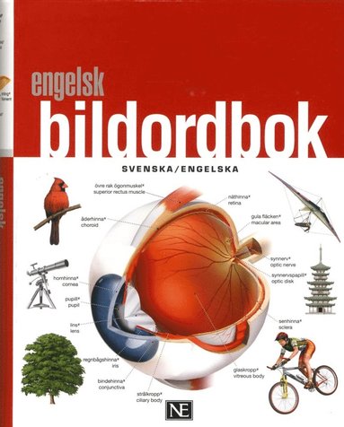 bokomslag Engelsk bildordbok svenska/engelska