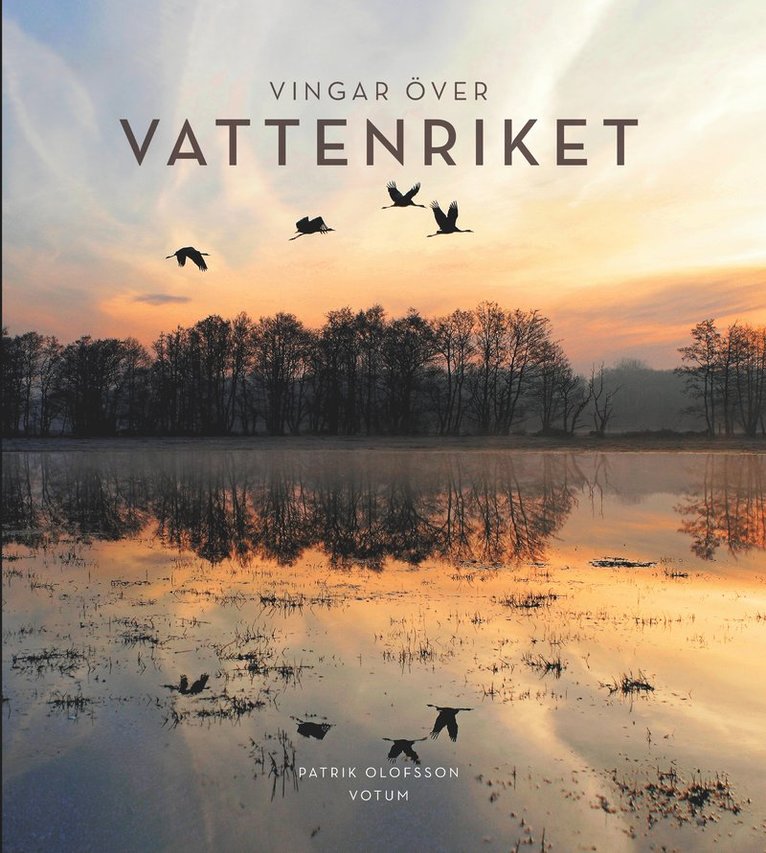 Vingar över Vattenriket