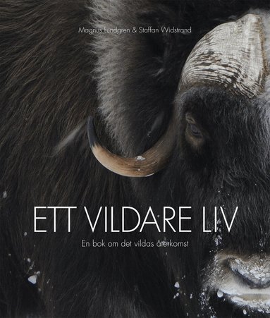 Staffan Widstrand, Magnus Lundgren - Ett vildare liv : en bok om det vildas återkomst, Inbunden