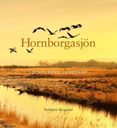 bokomslag Hornborgasjön : Lockelsens landskap