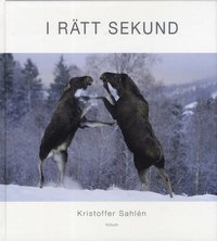 bokomslag I rätt sekund