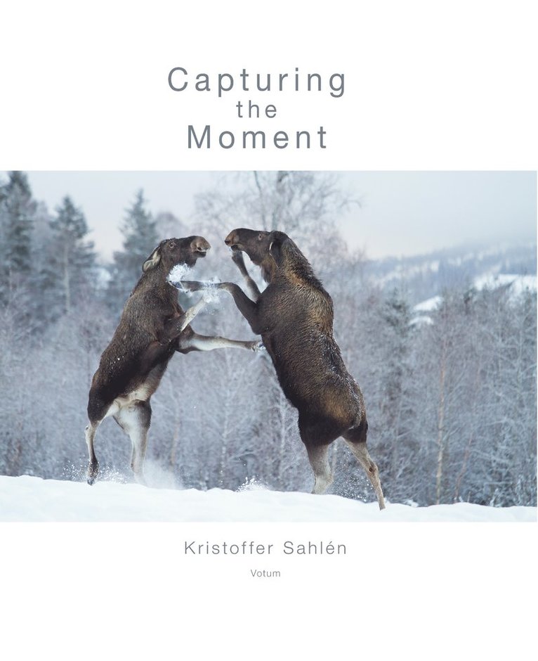 Capturing the Moment 1