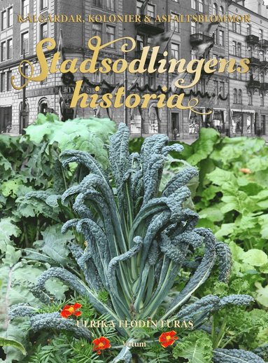 bokomslag Stadsodlingens historia : kålgårdar, kolonier & asfaltsblommor