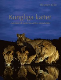bokomslag Kungliga katter : beteenden och signaler hos världens största kattdjur