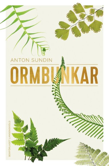bokomslag Ormbunkar