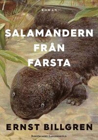 bokomslag Salamandern från Farsta