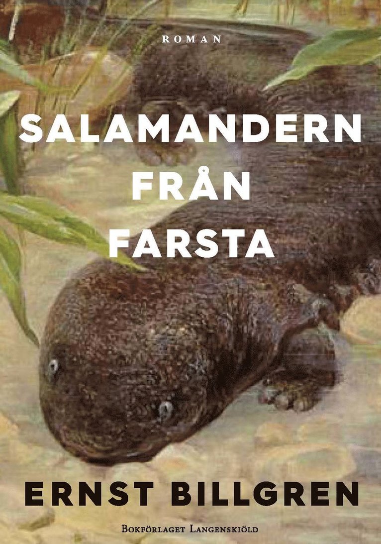 Salamandern från Farsta 1
