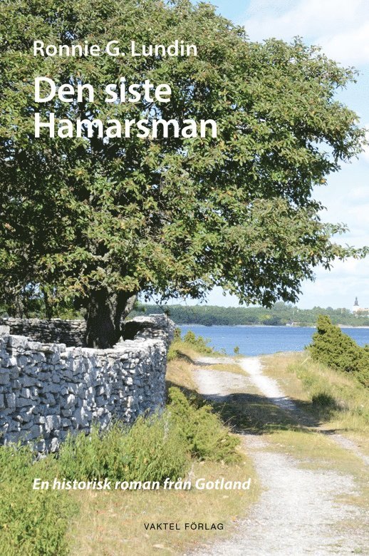 Den siste Hamarsman : en historisk roman från Gotland 1
