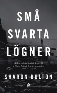 bokomslag Små svarta lögner