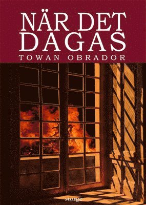 bokomslag När det dagas : historisk roman från Gotlands 1600-tal ca 1603 - 1610